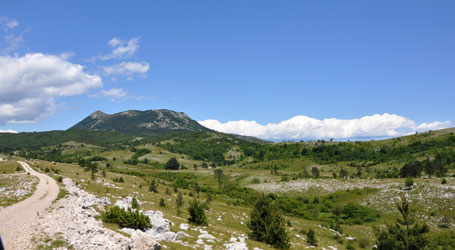 Ucka Offroad Istrien